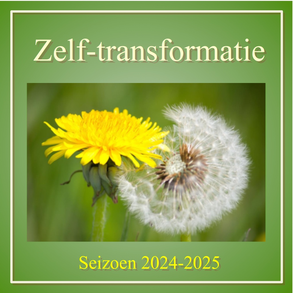 Zelftransformatiegroep 2024-2025